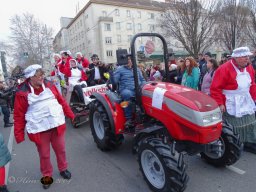 Simmeringer Faschingsumzug 2025